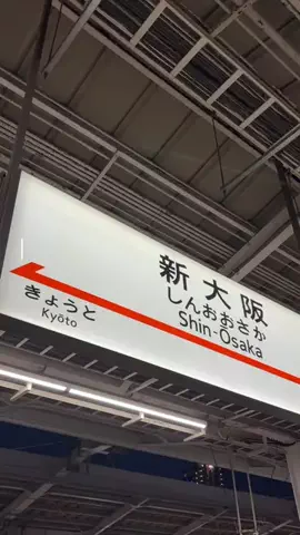 イカ飯ちゃんのTikTok投稿