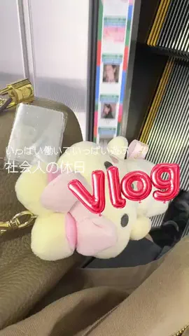 イカ飯ちゃんのTikTok投稿