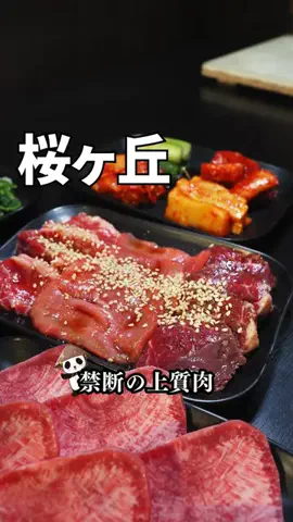 大和市周辺エリアガイド🐼ヤミツキヤマトのTikTok投稿