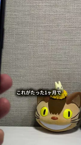 しょう | iPhoneとガジェットで叶える便利な暮らしのTikTok投稿