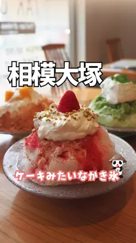 大和市周辺エリアガイド🐼ヤミツキヤマトのTikTok投稿