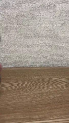 ゆず✳︎2026.4👶ママ/グルメ/懸賞/モニターのTikTok投稿