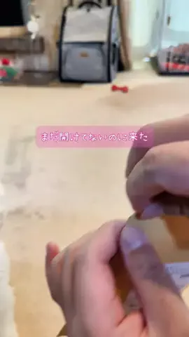 るるちゃんねるのTikTok投稿