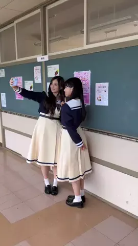 乃木恋部の日常のTikTok投稿