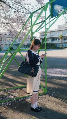 乃木恋部の日常のTikTok投稿