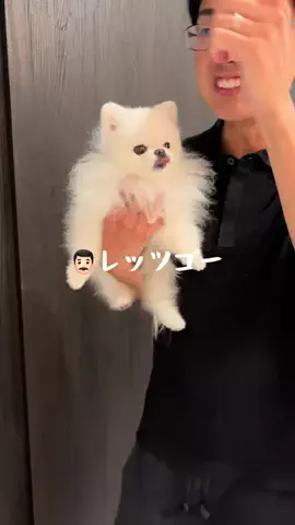 ハヌルのTikTok投稿