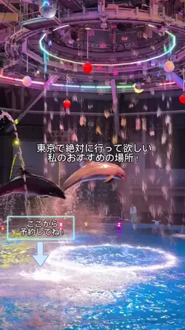 jennifer_eyesのTikTok投稿