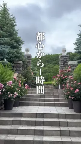 みさ |  ゆったり大人の休日旅のTikTok投稿
