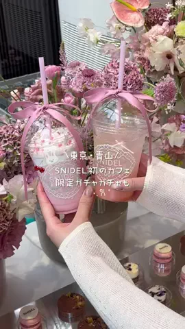 ぽた🥨 東京カフェ 韓国カフェのTikTok投稿