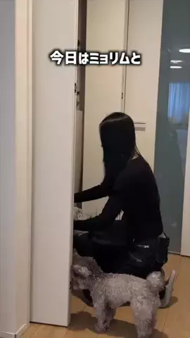 ミョリムのTikTok投稿