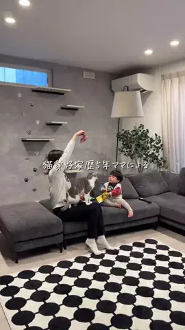 あすみ| セキスイハイム🏡猫と暮らす家🐈のTikTok投稿
