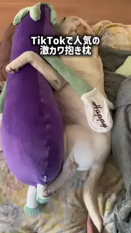 TikTokショップ紹介のTikTok投稿