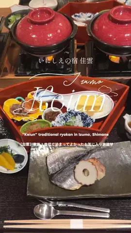 ちーのおでかけのTikTok投稿