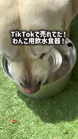 TikTokショップ紹介のTikTok投稿