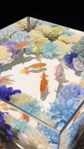 姫奈楓のTikTok投稿