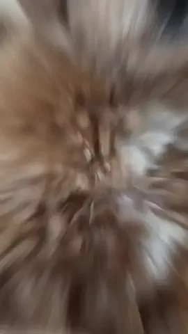 サチ🌼のTikTok投稿