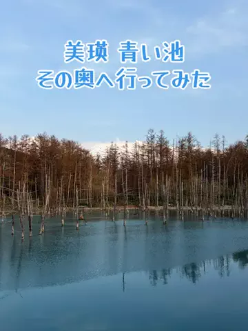 たびまちあるきのTikTok投稿