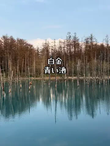 たびまちあるきのTikTok投稿