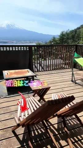 LittleBamboo.lsのTikTok投稿