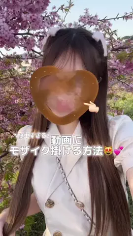 もえにゃのTikTok投稿