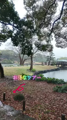 LittleBamboo.lsのTikTok投稿