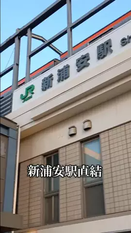 Og ToのTikTok投稿