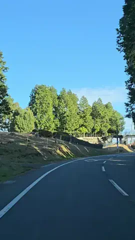 熊本グルメ／KUMAMOTO SELECTのTikTok投稿