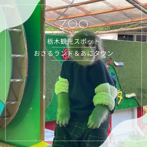 群馬発すー旅⌇旅と暮らしのTikTok投稿