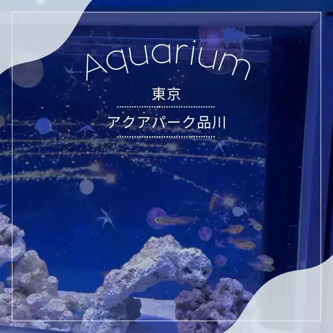 群馬発すー旅⌇旅と暮らしのTikTok投稿