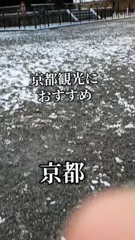 Og ToのTikTok投稿