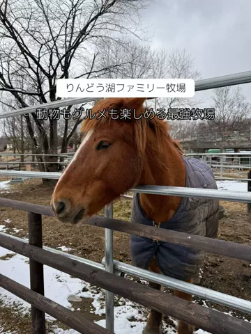 群馬発すー旅⌇旅と暮らしのTikTok投稿