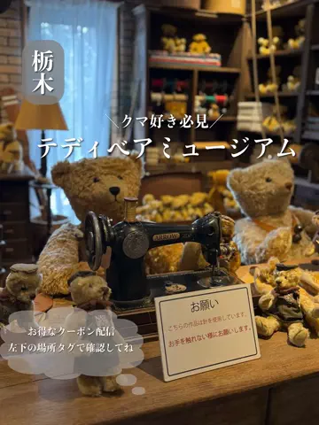 群馬発すー旅⌇旅と暮らしのTikTok投稿