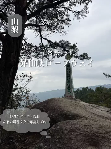 群馬発すー旅⌇旅と暮らしのTikTok投稿