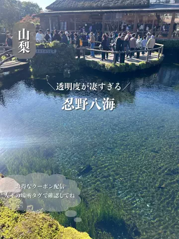 群馬発すー旅⌇旅と暮らしのTikTok投稿
