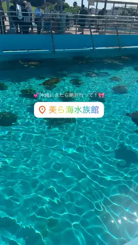 群馬発すー旅⌇旅と暮らしのTikTok投稿
