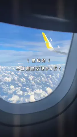 tommy.tokaidateのTikTok投稿