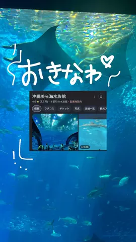 群馬発すー旅⌇旅と暮らしのTikTok投稿
