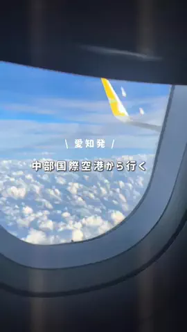 tommy.tokaidateのTikTok投稿