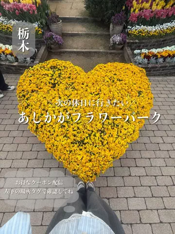 群馬発すー旅⌇旅と暮らしのTikTok投稿