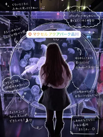 群馬発すー旅⌇旅と暮らしのTikTok投稿