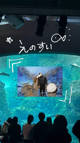 群馬発すー旅⌇旅と暮らしのTikTok投稿