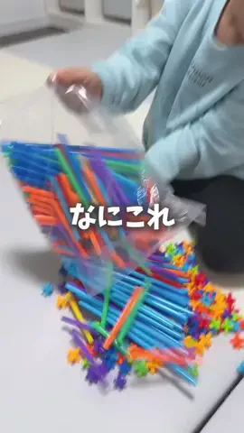 れいな ｜ ズボラママのTikTok投稿