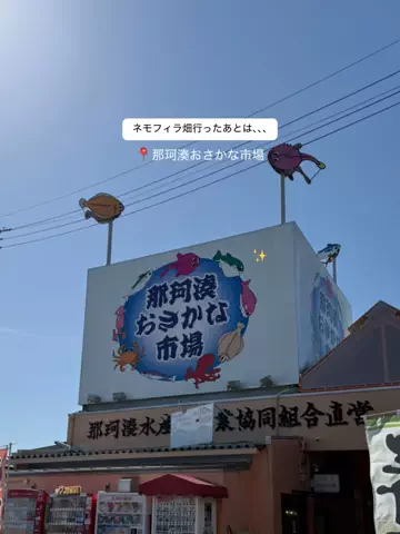 群馬発すー旅⌇旅と暮らしのTikTok投稿