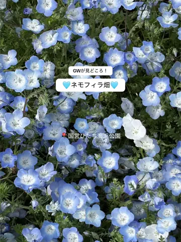 群馬発すー旅⌇旅と暮らしのTikTok投稿