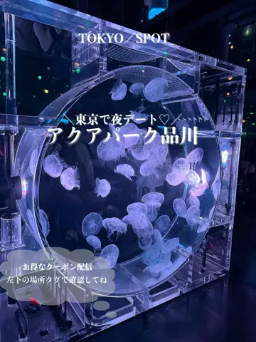 群馬発すー旅⌇旅と暮らしのTikTok投稿