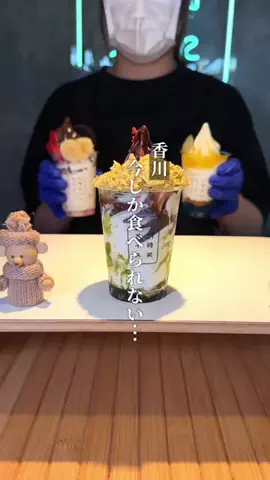 まる⌇香川グルメ観光のTikTok投稿