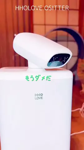 よりパパ【しゃあ猫団】のTikTok投稿