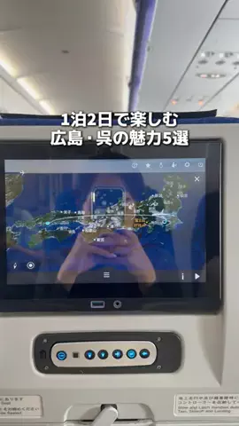 ななちぇ FriesのTikTok投稿