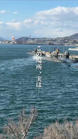 ななちぇ FriesのTikTok投稿