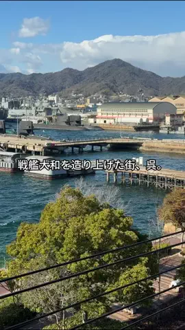 ななちぇ FriesのTikTok投稿